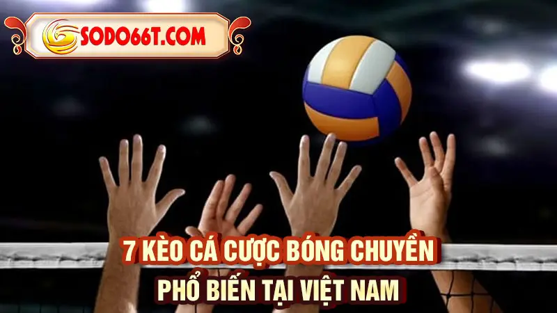 7 kèo cá cược bóng chuyền phổ biến tại Việt Nam