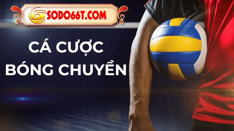 Cá cược bóng chuyền