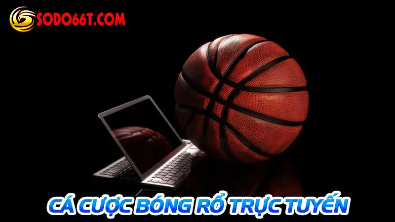 Cá cược bóng rổ
