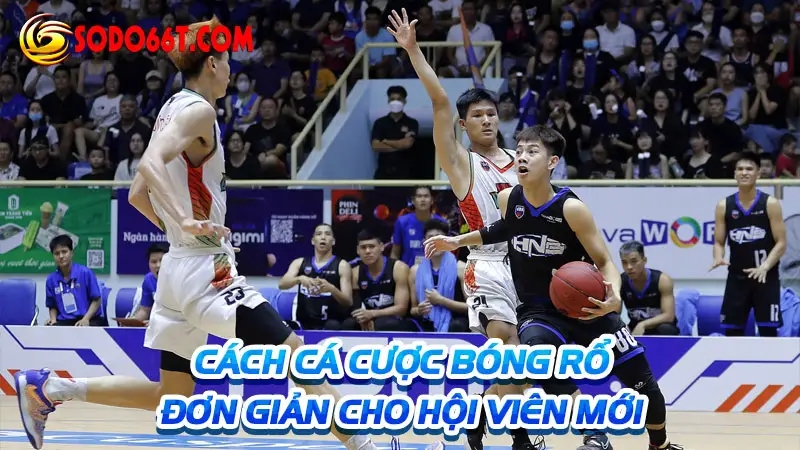 Cách cá cược bóng rổ đơn giản cho hội viên mới