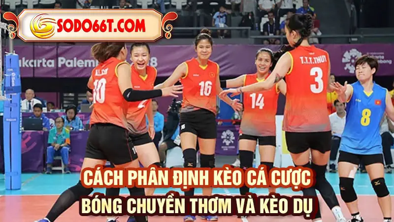 Cách phân định kèo cá cược bóng chuyền thơm và kèo dụ