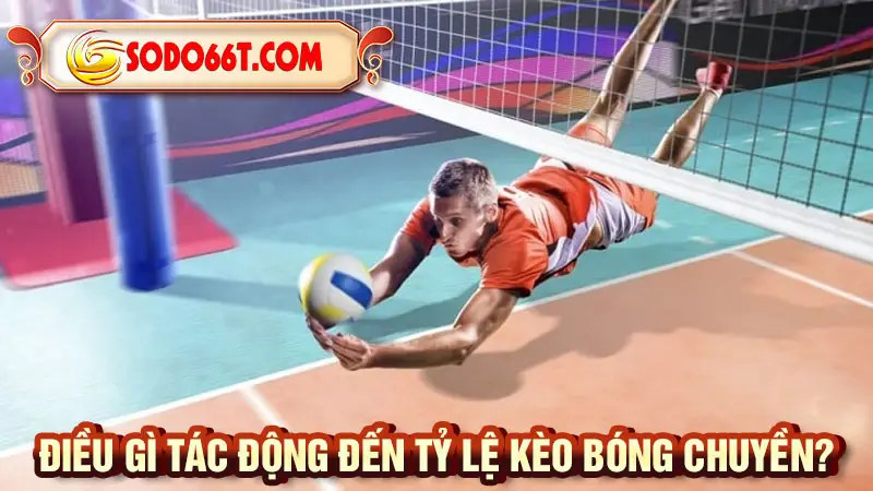 Điều gì tác động đến tỷ lệ kèo bóng chuyền?