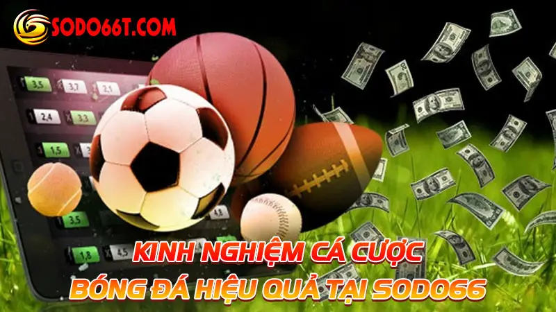 Kinh nghiệm cá cược bóng đá hiệu quả tại SODO66