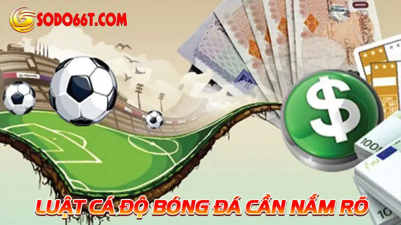 Luật cá độ bóng đá cần nắm rõ