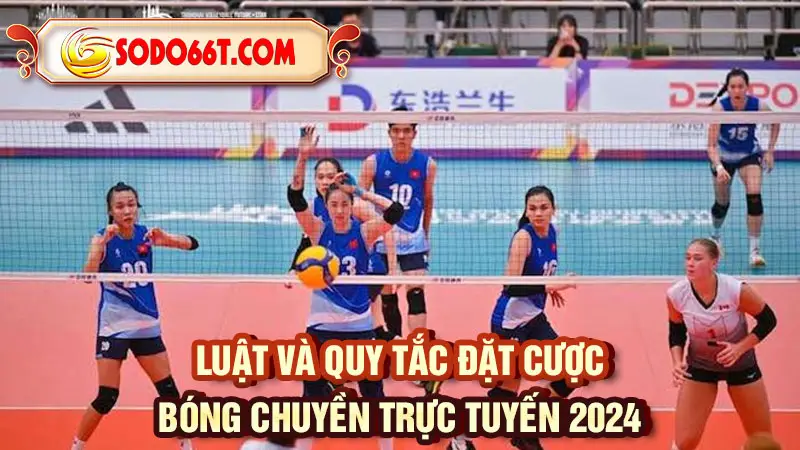 Luật và quy tắc đặt cược bóng chuyền trực tuyến 2024
