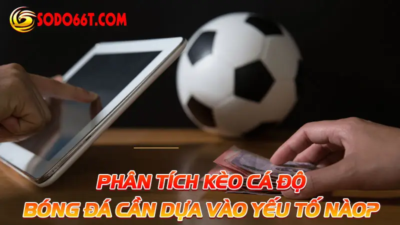 Phân tích kèo cá độ bóng đá cần dựa vào yếu tố nào?