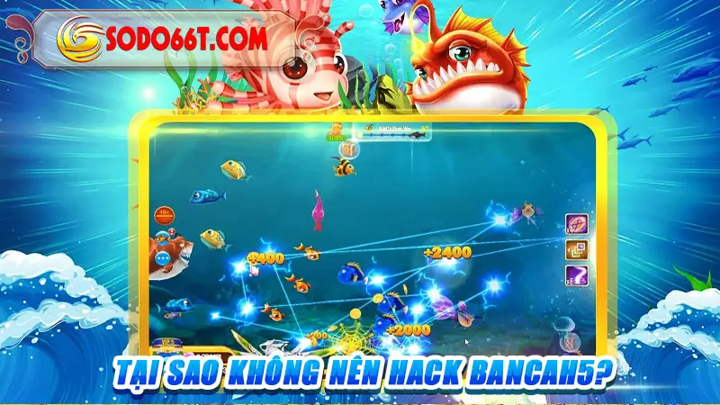 Tại sao không nên hack Bancah5?