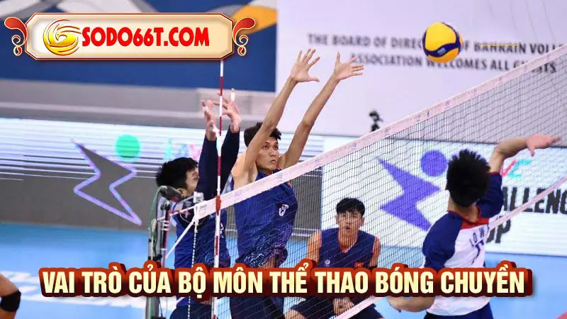 Vai trò của bộ môn thể thao bóng chuyền