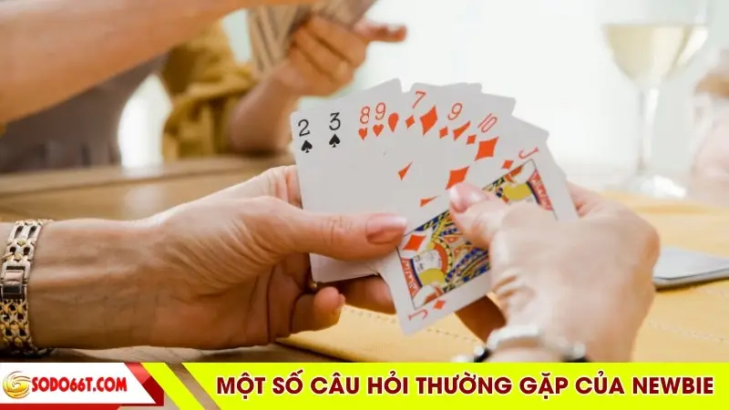 Tham khảo một số câu hỏi thường gặp của newbie