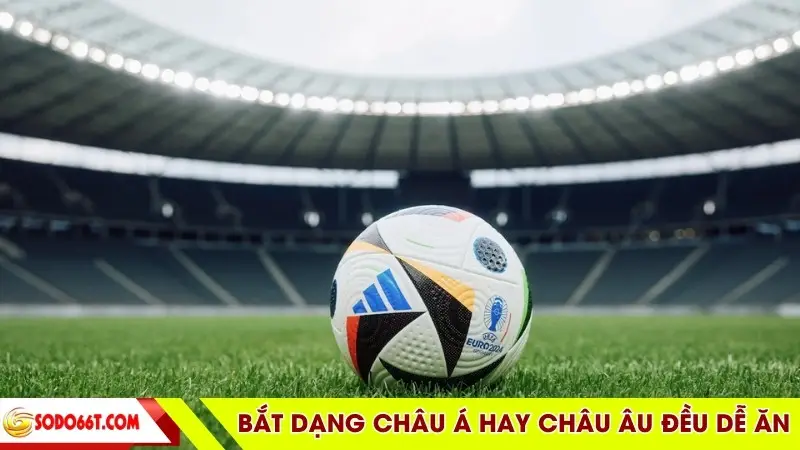 Bắt dạng châu á hay châu âu đều dễ ăn