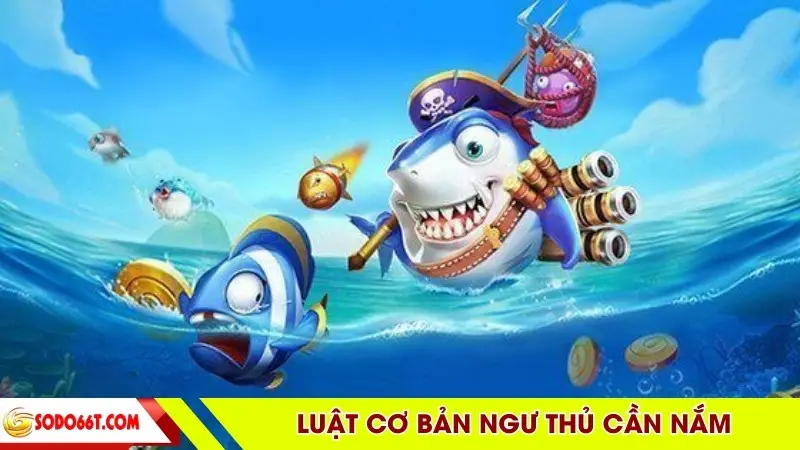 Luật cơ bản ngư thủ cần nắm