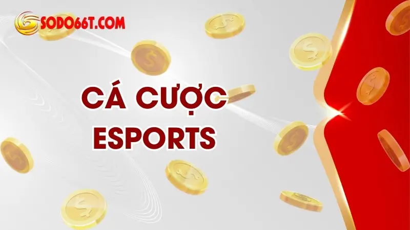 Cá cược esports