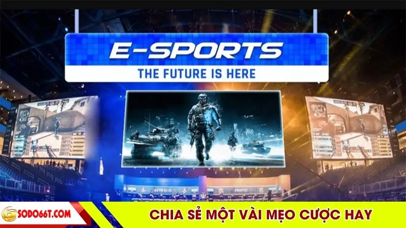 Chia sẻ một vài mẹo cược hay