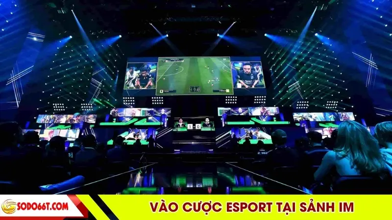 Vào cược Esport tại sảnh IM