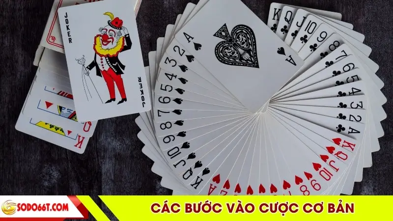 Các bước vào cược cơ bản