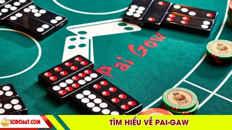 Tìm hiểu về Pai-Gaw