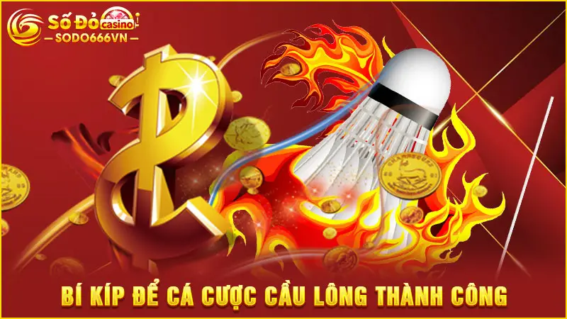 Bí kíp để cá cược cầu lông thành công