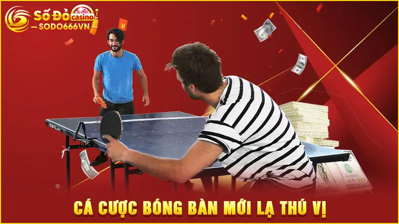 Cá cược bóng bàn mới lạ thú vị