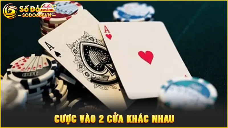 Cược vào 2 cửa khác nhau