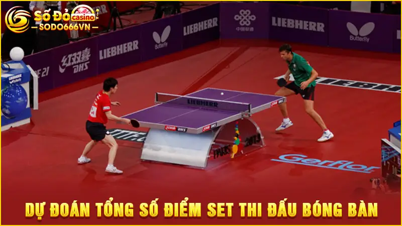 Dự đoán tổng số điểm set thi đấu bóng bàn