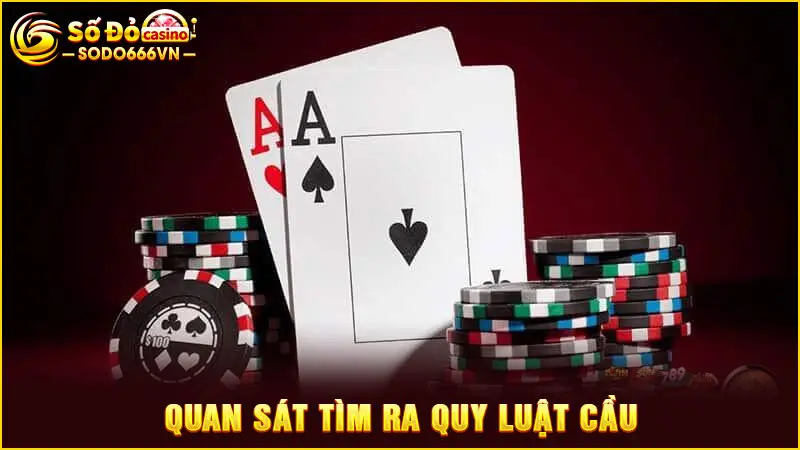 Quan sát tìm ra quy luật cầu