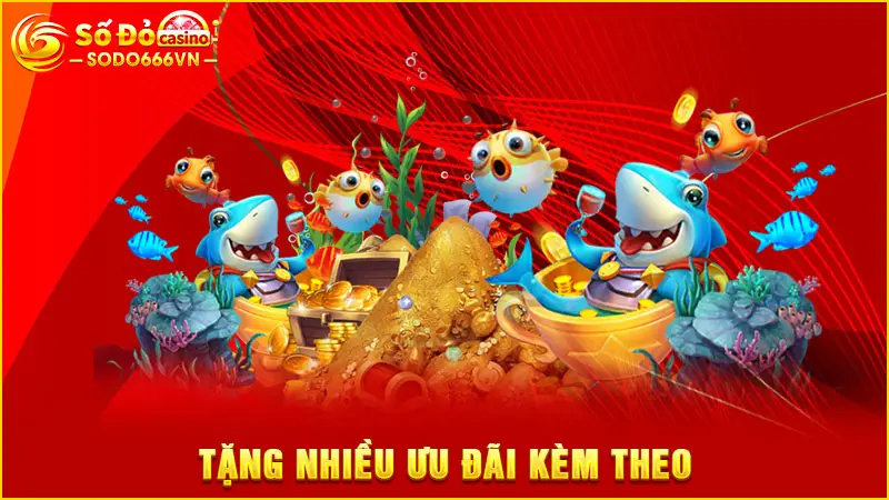 Tặng nhiều ưu đãi kèm theo