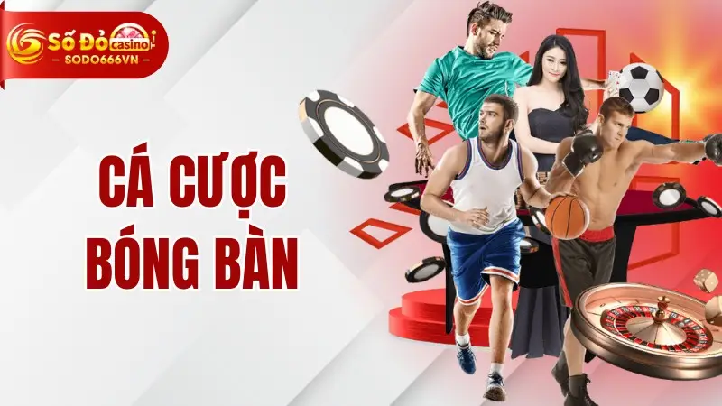 Cá Cược Bóng Bàn