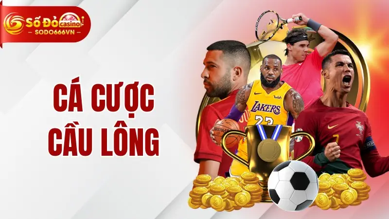 Cá cược cầu lông